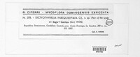 Image of Dictyothyriella inaequiseptata